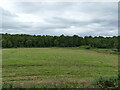 NH5350 : Mown field, Muir of Tarradale by Stephen Craven