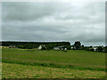 Houses at Muir of Tarradale