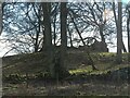 Remains of Kirkforthar Chapel