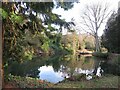 Pond in Tayfield Estate