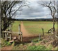 SO8681 : Stile along the North Worcestershire Path by Mat Fascione