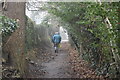 Tunbridge Wells Circular Walk Link Path