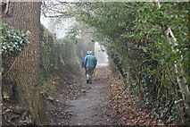 TQ5838 : Tunbridge Wells Circular Walk Link Path by N Chadwick