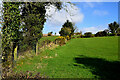 Dunteige Townland