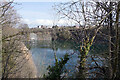 Disused quarry, New Bilton