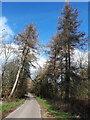 Country road towards Yewtree Cottages