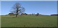 NX8269 : Good grazing land near West Glenarm by Colin Kinnear