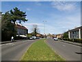 Looking down Linthaugh Road