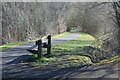 Path down to Bargoed Gauging Station