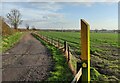 Public footpath to the Tweed River