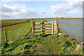 Gate on sea wall near Potton Island bridge