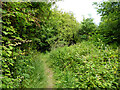 Footpath north from bend on Snodhurst Avenue, Rochester