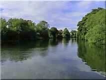 SU7274 : The River Thames by Lower Caversham by Steve Daniels