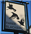 Three Blackbirds name sign, Cwmbran