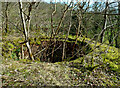 Above a lime kiln at Craighead