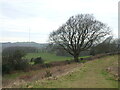 Hill fort to hill top