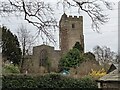 St. Mary Magdalene church (Leintwardine)