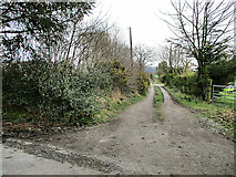 S6240 : Rural Lane by kevin higgins