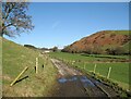SD2879 : The Cumbria Way, farm track near Heaning Wood by Adrian Taylor