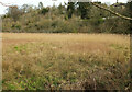 Dart flood plain below A385