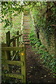 Steps on footpath, Totnes