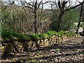 Great Sheffield Flood memorial wall