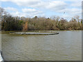 Lagoon in Ifield Mill Pond, Crawley