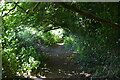 Wooded footpath, Luxted