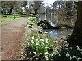 The Tarn at Eltham