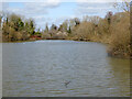 Ifield Mill Pond, Crawley