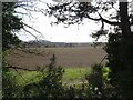 Railway Path View