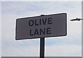 Olive Lane off Plane Street, Hull