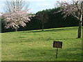 Spring on Stubbs Lane