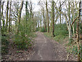 Bridleway 1550 towards Kilnwood Lane