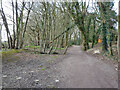 Bridleway 1550 towards Kilnwood Lane