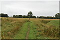 TL5158 : Footpath junction on Harcamlow Way by N Chadwick