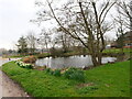 Pond at Swan Farm