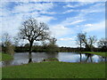 Pond in field