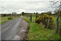 Muddy along Killadroy Road