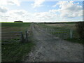 The beginning of a footpath to Cammeringham