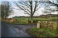 Footpath off New Pale Rd