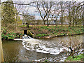 River Irwell passing the Sewage Works