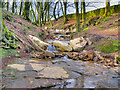 Stream in Buckden Wood