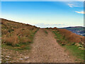 Bridleway on Holcombe Moor near Stubbins