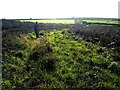 The track leading towards the Air Traffic Control beacon