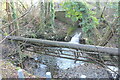 Outflow from culvert under railway line and road