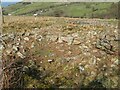 Hut circles 1