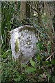 Old Boundary Marker at a ford on the River Lyd