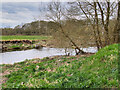 River Roch near Gigg