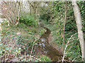 Spruce Hill Brook where it forms a moat, Bewbush, Crawley